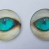 Ojos de animales para taxidermia o manualidades. 3 cm de diámetro. Pareja.