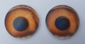 Ojos de animales para taxidermia o manualidades. 3 cm de diámetro. Pareja.