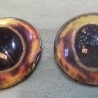 Ojos de animales para taxidermia o manualidades. 3 cm de diámetro. Pareja.