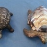 Pastilleros de colección. Pareja de tortugas