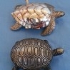 Pastilleros de colección. Pareja de tortugas