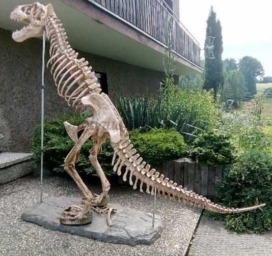 Dinosaurio. Tiranosaurio Rex. Años 90. Desmontable. Gran tamaño. 2 m de largo.