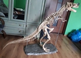 Dinosaurio. Tiranosaurio Rex. Años 90. Desmontable. Gran tamaño. 2 m de largo.