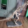 Dinosaurio. Tiranosaurio Rex. Años 90. Desmontable. Gran tamaño. 2 m de largo.