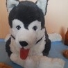 Peluche. Precioso perro Husky. Año 200