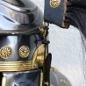 Armadura Roman Lorica segmentata. Casco de centurión galo. Impresionante réplica.