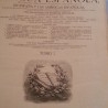 Diccionario enciclopédico de la Lengua Española del año 1878