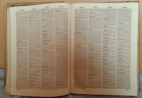 Diccionario enciclopédico de la Lengua Española del año 1878