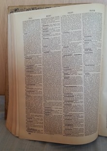 Diccionario enciclopédico de la Lengua Española del año 1878