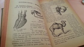 Libro de escuela. Histoire Naturelle. Principios de 1900. En francés.