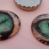 Ojos de animales para taxidermia o manualidades. 3 cm de diámetro. Pareja.