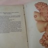 Atlas de Sífilis y Enfermedades Venéreas. Año 1902. Libro centenario.