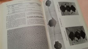 LIbro. Biología celular y molecular. Año 1981.