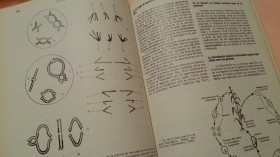 LIbro. Biología celular y molecular. Año 1981.