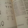LIbro. Biología celular y molecular. Año 1981.