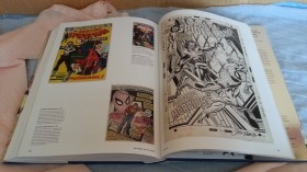 Libro Comics THE MARVEL AGE OF COMICS 1961-1978