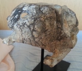 Cráneo de reptil. Fabricado en resina.
