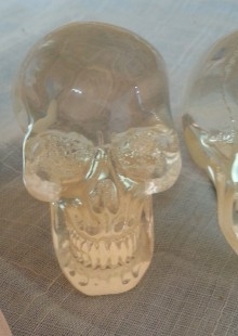 Cráneo en fibra de vidrio. Pareja.