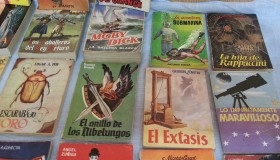 Novelas de los años 50. 33 Unidades.