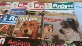 Revistas AMIGOS EN CASA. Años 90. Buen estado general.