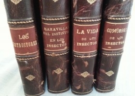 Libros antiguos. LA VIDA DE LOS INSECTOS. Año 1937.