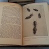 Libros antiguos. LA VIDA DE LOS INSECTOS. Año 1937.