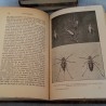 Libros antiguos. LA VIDA DE LOS INSECTOS. Año 1937.