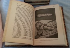 Libros antiguos. LA VIDA DE LOS INSECTOS. Año 1937.