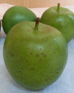 Manzana Golden Verde. Imitación. 6 Unidades.