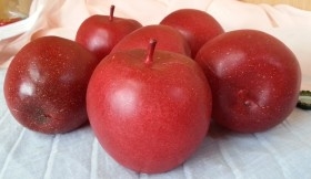 Manzana Roja. Imitación. 6 Unidades.