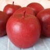 Manzana Roja. Imitación. 6 Unidades.