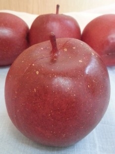 Manzana Roja. Imitación. 6 Unidades.