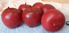 Manzana Roja. Imitación. 6 Unidades.