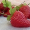 Fresas. Imitación alimentación. 12 Unidades.