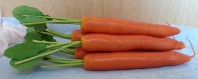 Zanahorias. Imitación alimentos. 6 Unidades.