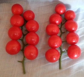 Tomates. Imitación de tomates en ramilletes. Pareja de razimos.