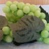 Racimo de Uvas verdes. Imitación Alimentación. 2 Unidades.