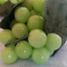 Racimo de Uvas verdes. Imitación Alimentación. 2 Unidades.