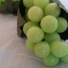 Racimo de Uvas verdes. Imitación Alimentación. 2 Unidades.
