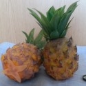 Piña natural. Imitación Alimentos. 2 Unidades.