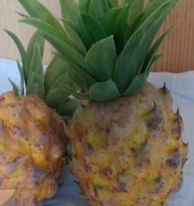 Piña natural. Imitación Alimentos. 2 Unidades.