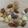 Piedras y Minerales. 24 Unidades.