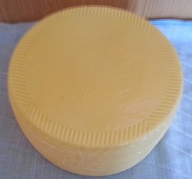 Queso. Alimento ficticio. Queso color amarillo.