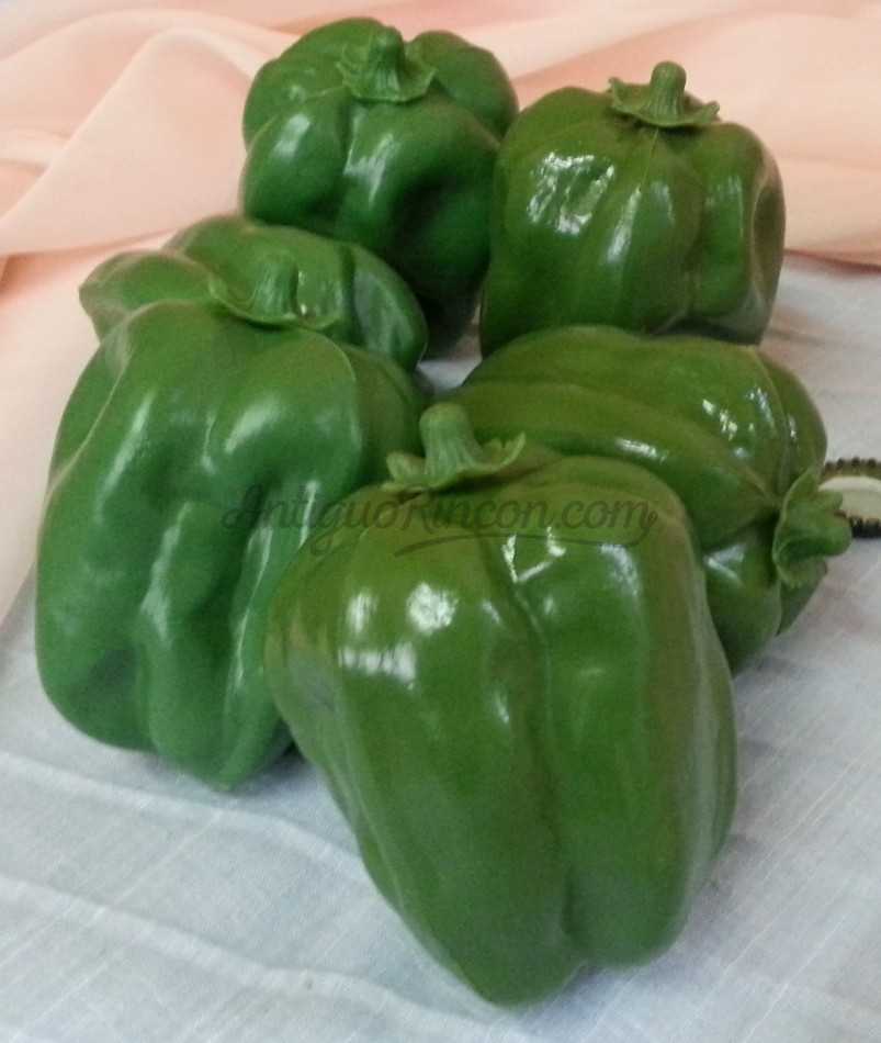 Pimientos verdes de California. Imitación. 6 Unidades