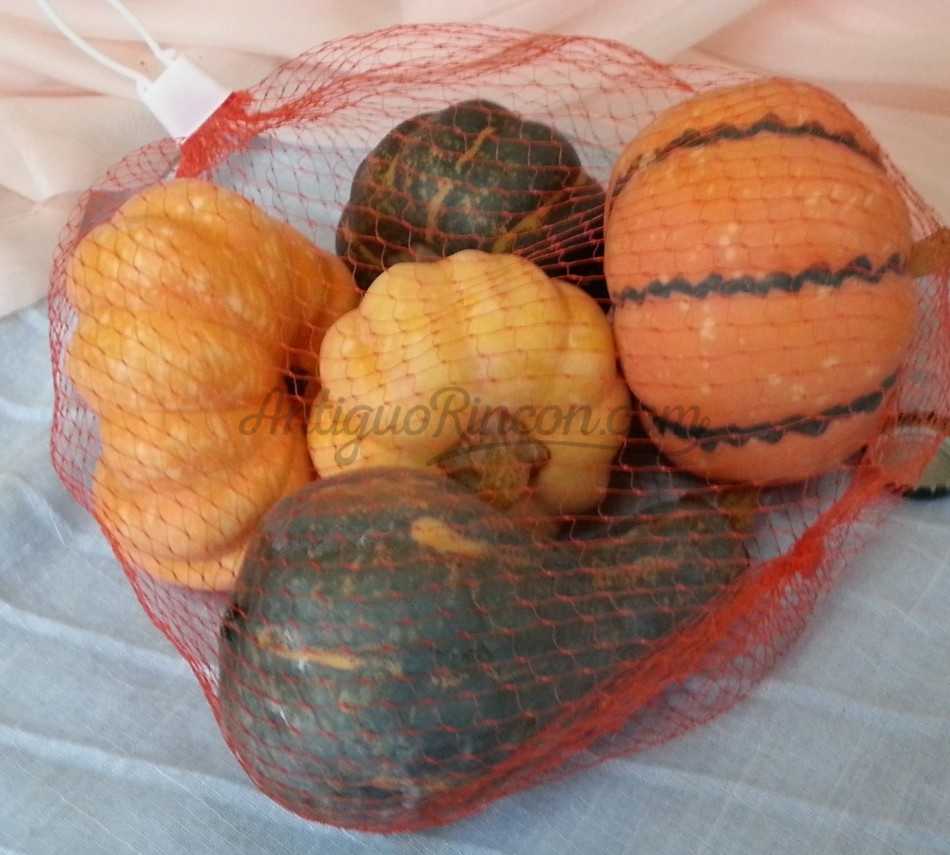 Calabaza. Bolsa de calabazas variadas. Imitación alimentos. 5 Unidades