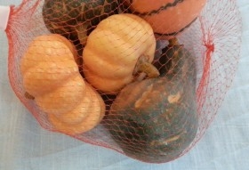 Calabaza. Bolsa de calabazas variadas. Imitación alimentos. 5 Unidades