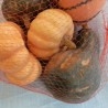 Calabaza. Bolsa de calabazas variadas. Imitación alimentos. 5 Unidades