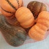 Calabaza. Bolsa de calabazas variadas. Imitación alimentos. 5 Unidades