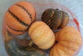 Calabaza. Bolsa de calabazas variadas. Imitación alimentos. 5 Unidades