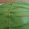 Repollo verde claro. Imitación alimentos. 2 Unidades